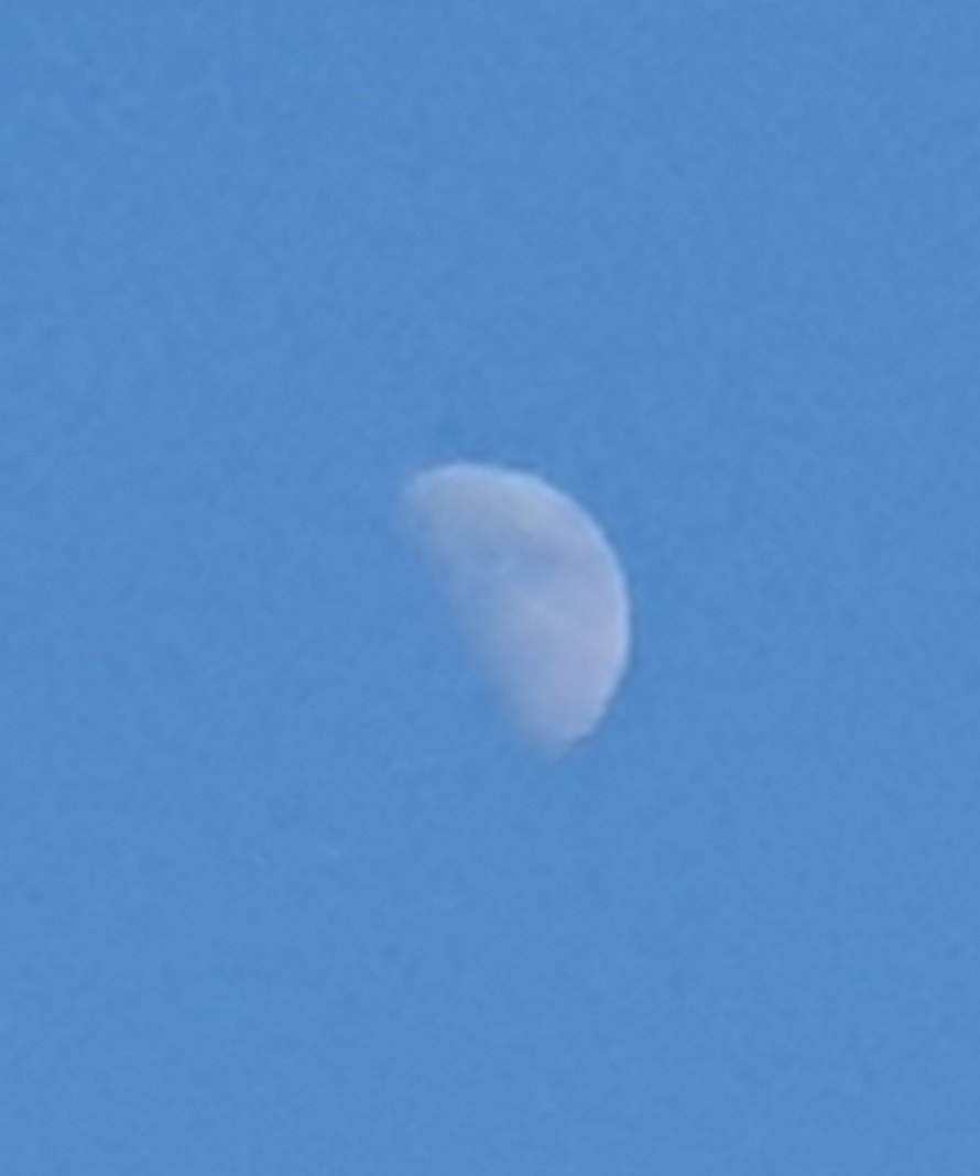 real moon